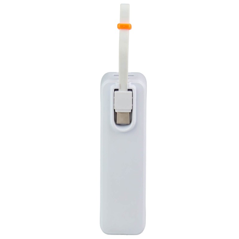 Power Bank Inuit