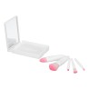 Set de Brochas Rubor - CP 095