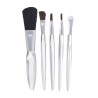 Set de Brochas Crystal Face - DAM 570