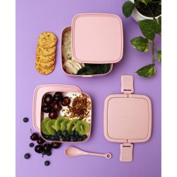 Contenedor Olgiy | Personalizado con tu Logo