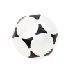 Pelota Fútbol Antiestrés