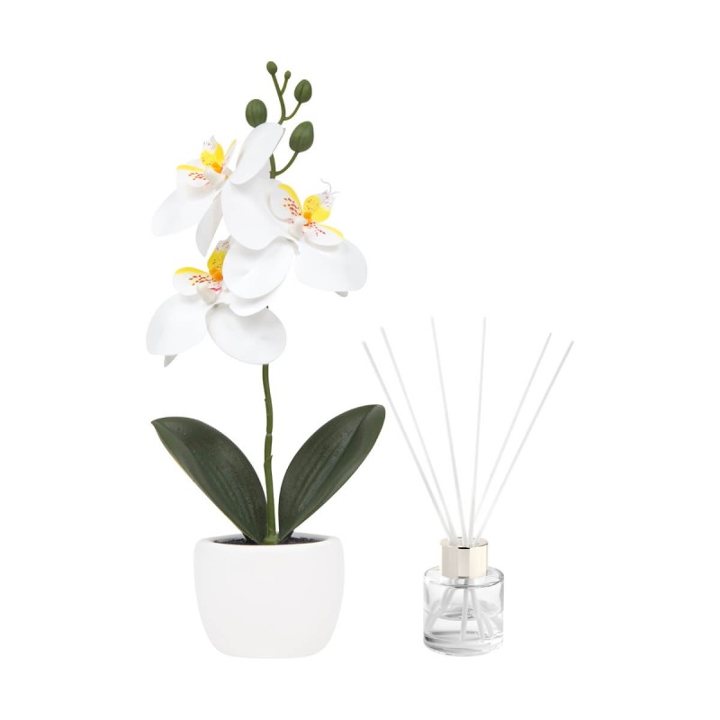 Set Decorativo Fiora | Personalizado con tu Logo