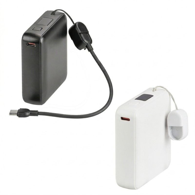 Power Bank Dinen
