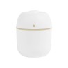 Humidificador Zen | Personalizado con tu Logo