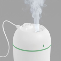 Humidificador Zen | Personalizado con tu Logo