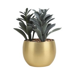 Planta Decorativa Dakar | Personalizada con tu Logo