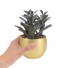 Planta Decorativa Dakar | Personalizada con tu Logo
