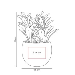 Planta Decorativa Dakar | Personalizada con tu Logo