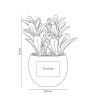 Planta Decorativa Dakar | Personalizada con tu Logo